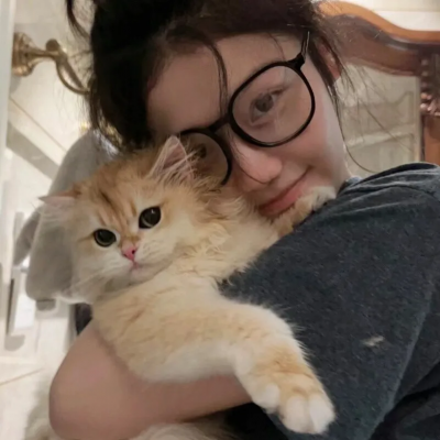 追求校花只需做十个选择